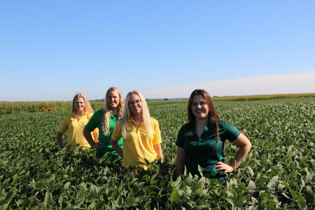 4 women stand with hands on hips in beanfield